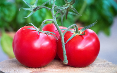 Hoe tomaten je immuunsysteem kunnen helpen verbeteren